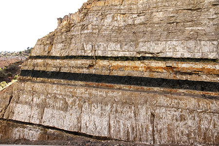 Venice Top - Coal
